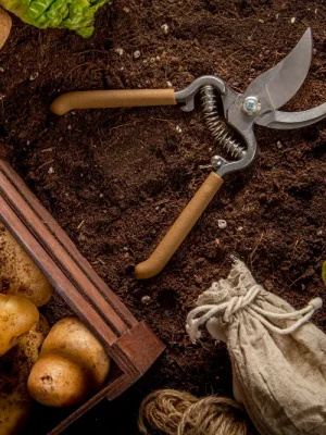 agricultura hortalizas